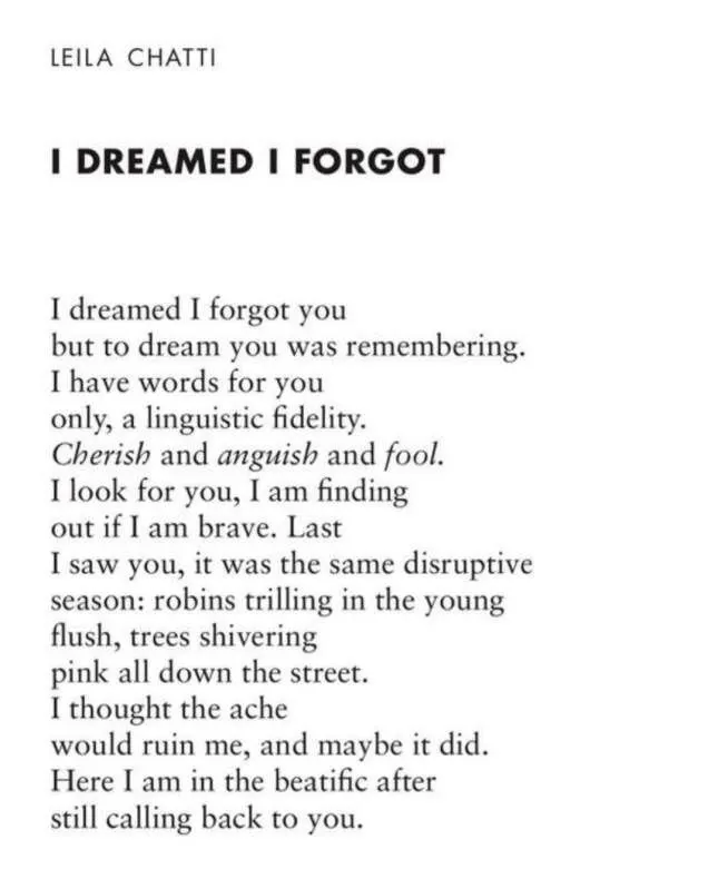 
LEILA CHATTI
I DREAMED I FORGOT
I dreamed I forgot you
but to dream you was remembering. I have words for you only, a linguistic fidelity. Cherish and anguish and fool. I look for you, I am finding out if I am brave. Last
I saw you, it was the same disruptive season: robins trilling in the young flush, trees shivering
pink all down the street.
I thought the ache
would ruin me, and maybe it did. Here I am in the beatific after still calling back to you.