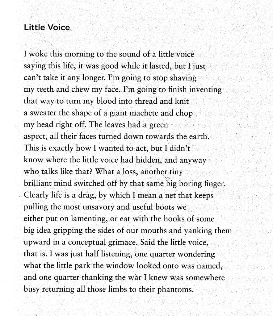 Little Voice

I woke this morning to the sound of a little voice
saying this life, it was good while it lasted, but I just
can't take it any longer. I'm going to stop shaving
my teeth and chew my face. I'm going to finish inventing
that way to turn my blood into thread and knit
a sweater the shape of a giant machete and chop
my head right off. The leaves had a green
aspect, all their faces turned down towards the earth.
This is exactly how I wanted to act, but I didn't
know where the little voice had hidden, and anyway
who talks like that? What a loss, another tiny
brilliant mind switched off by that same big boring finger.
Clearly life is a drag, by which I mean a net that keeps
pulling the most unsavory and useful boots we
either put on lamenting, or eat with the hooks of some
big idea gripping the sides of our mouths and yanking them
upward in a conceptual grimace. Said the little voice,
that is. I was just half listening, one quarter wondering
what the little park the window looked onto was named,
and one quarter thanking the war I knew was somewhere
busy returning all those limbs to their phantoms.